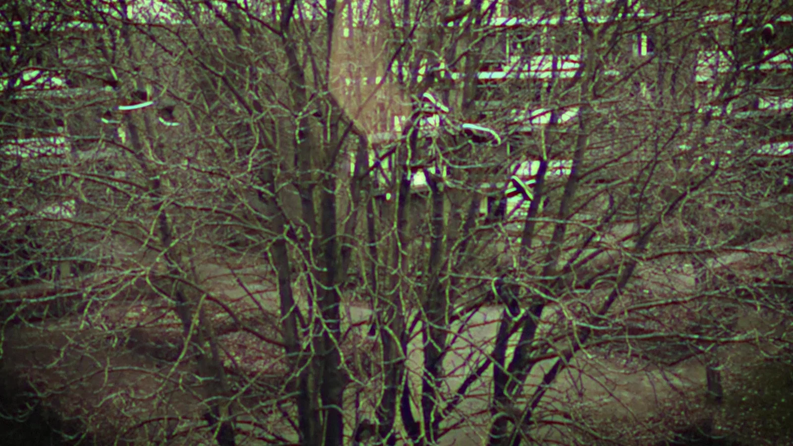 I Want Out background