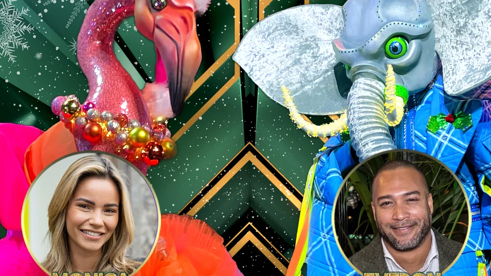 Underneath The Tree - Seizoen 4, Aflevering 9 / Flamingo & Olifant background