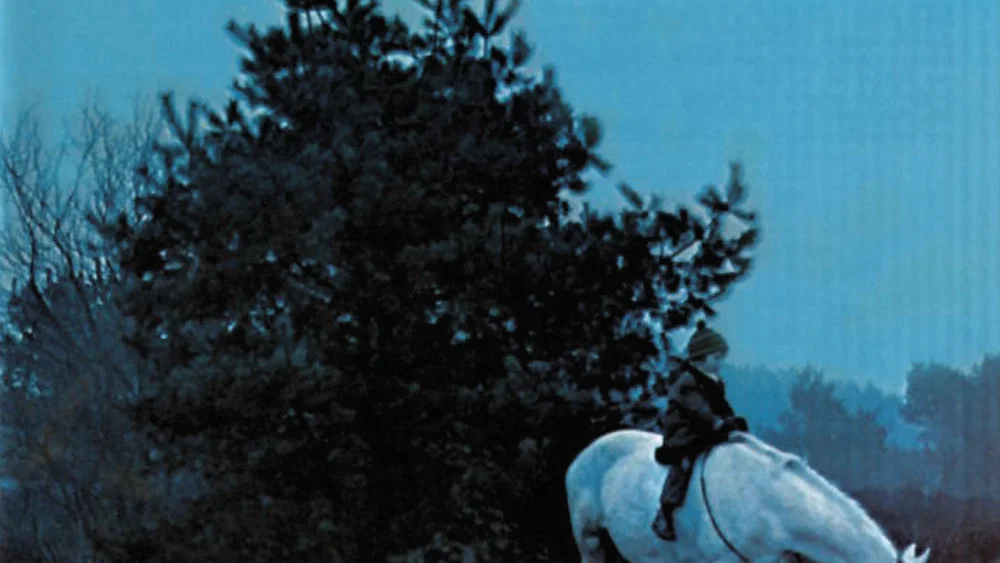 Maarten En Het Witte Paard background