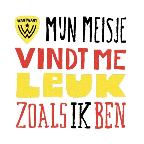 Mijn meisje vindt me leuk zoals ik ben (single)