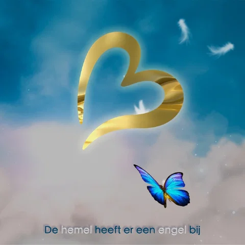 De Hemel Heeft Er Een Engel Bij