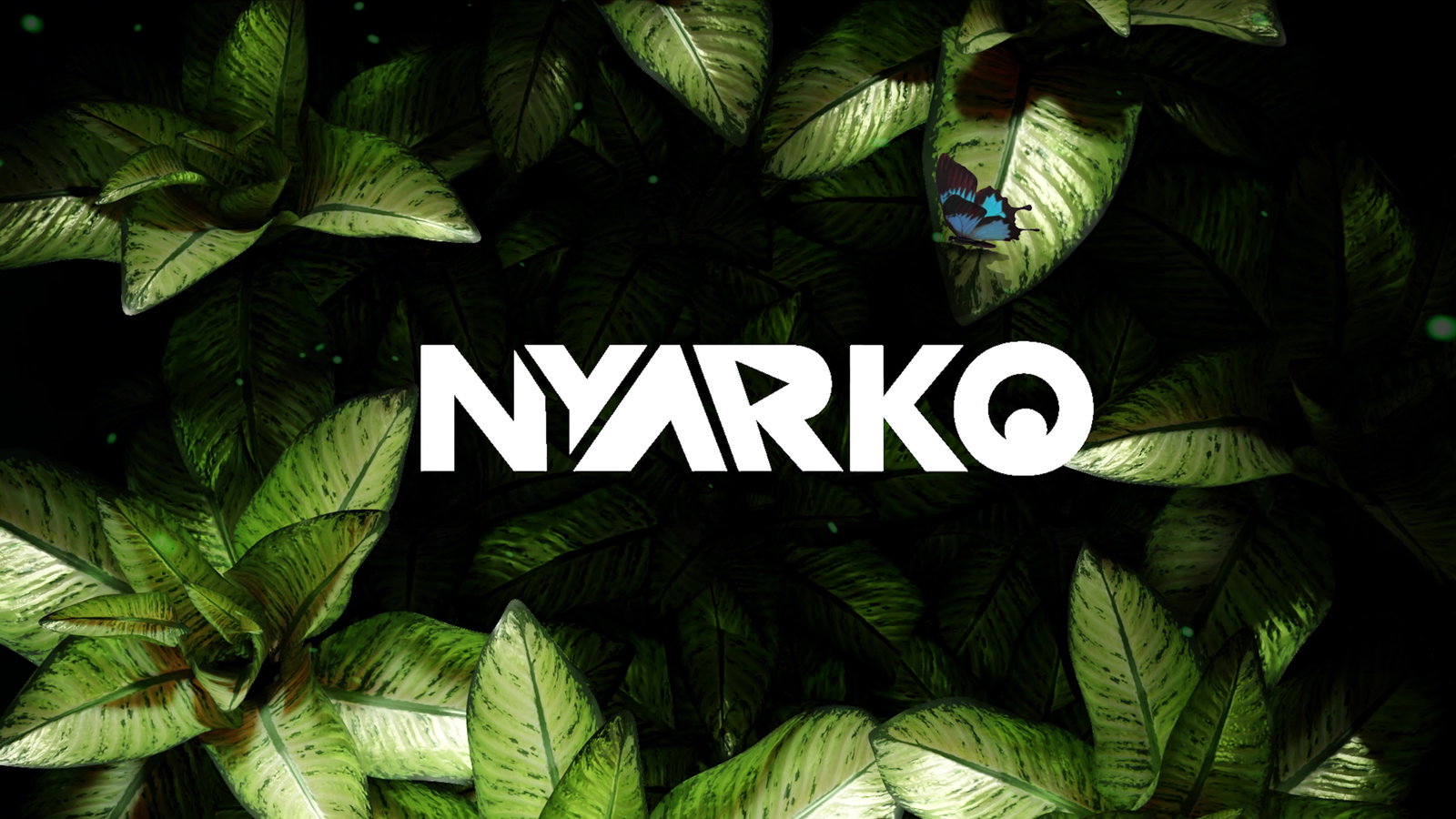 This Is Nyarko