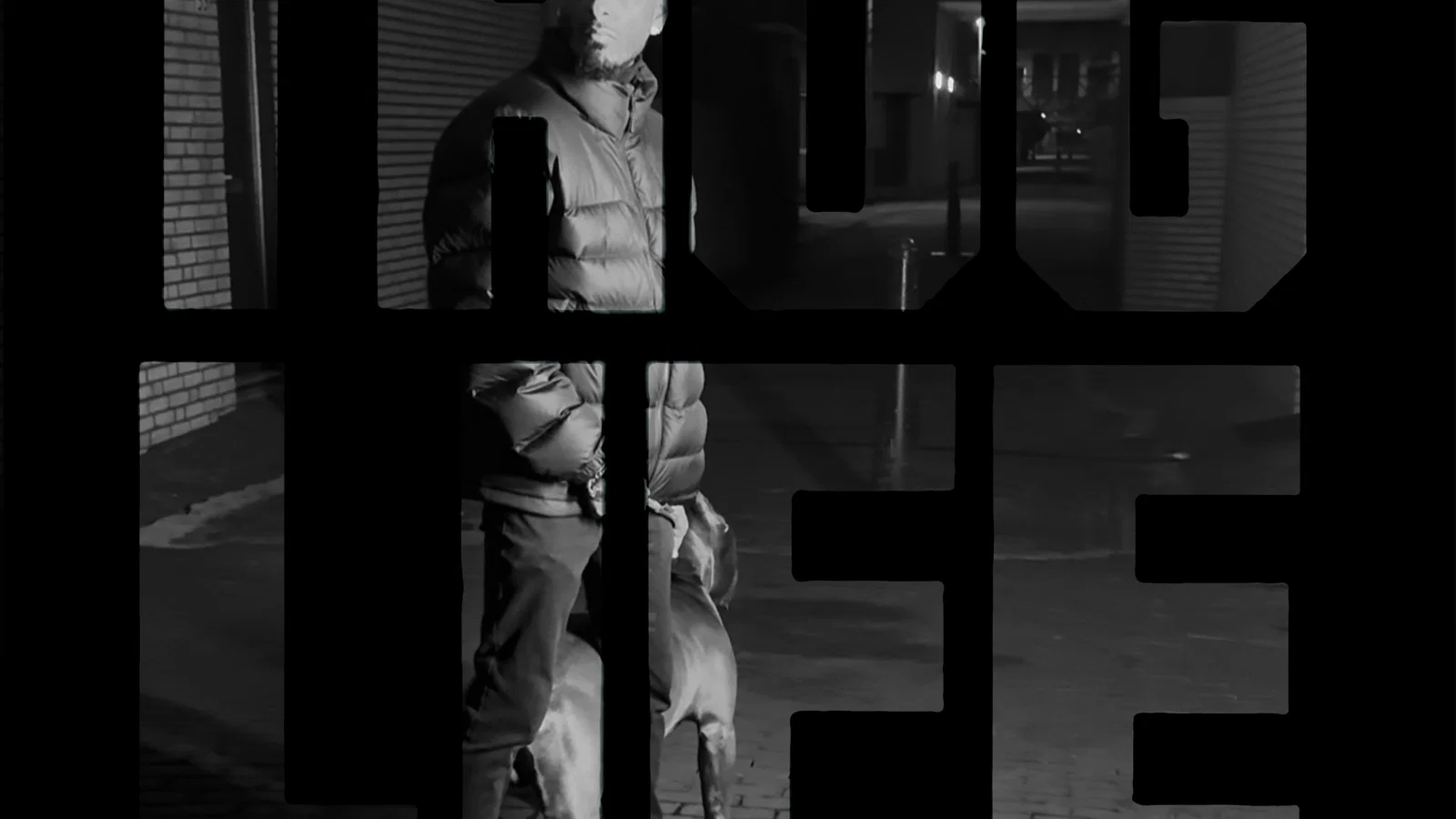 T.H.U.G. L.I.F.E. background