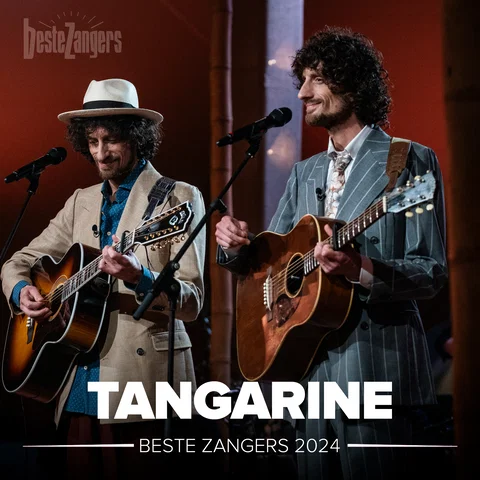 Beste Zangers 2024 (Tangarine)