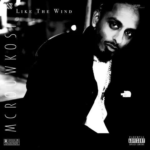 Like The Wind