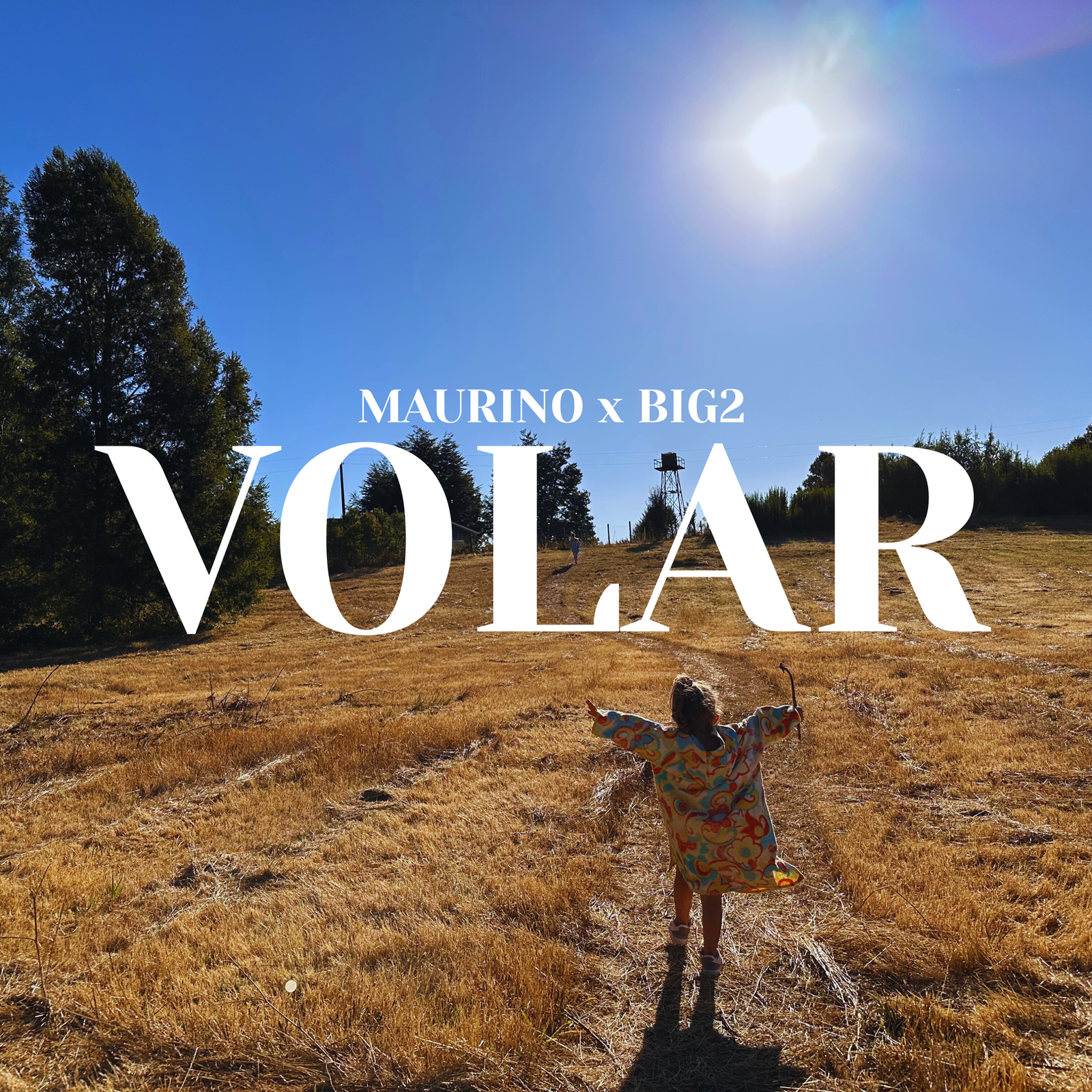 Volar