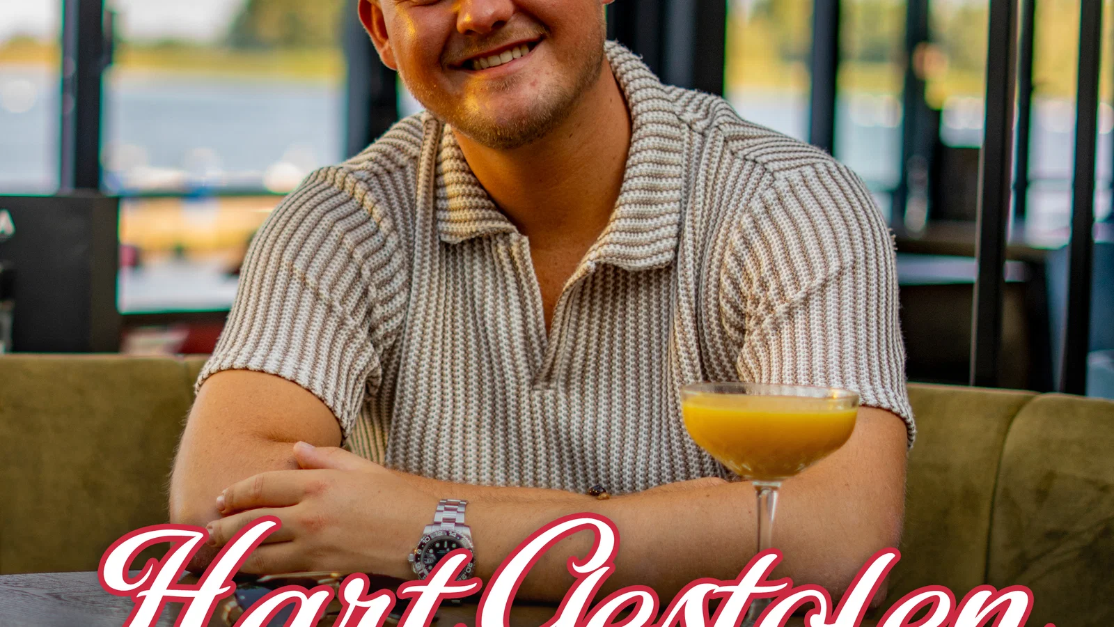 Hart Gestolen background