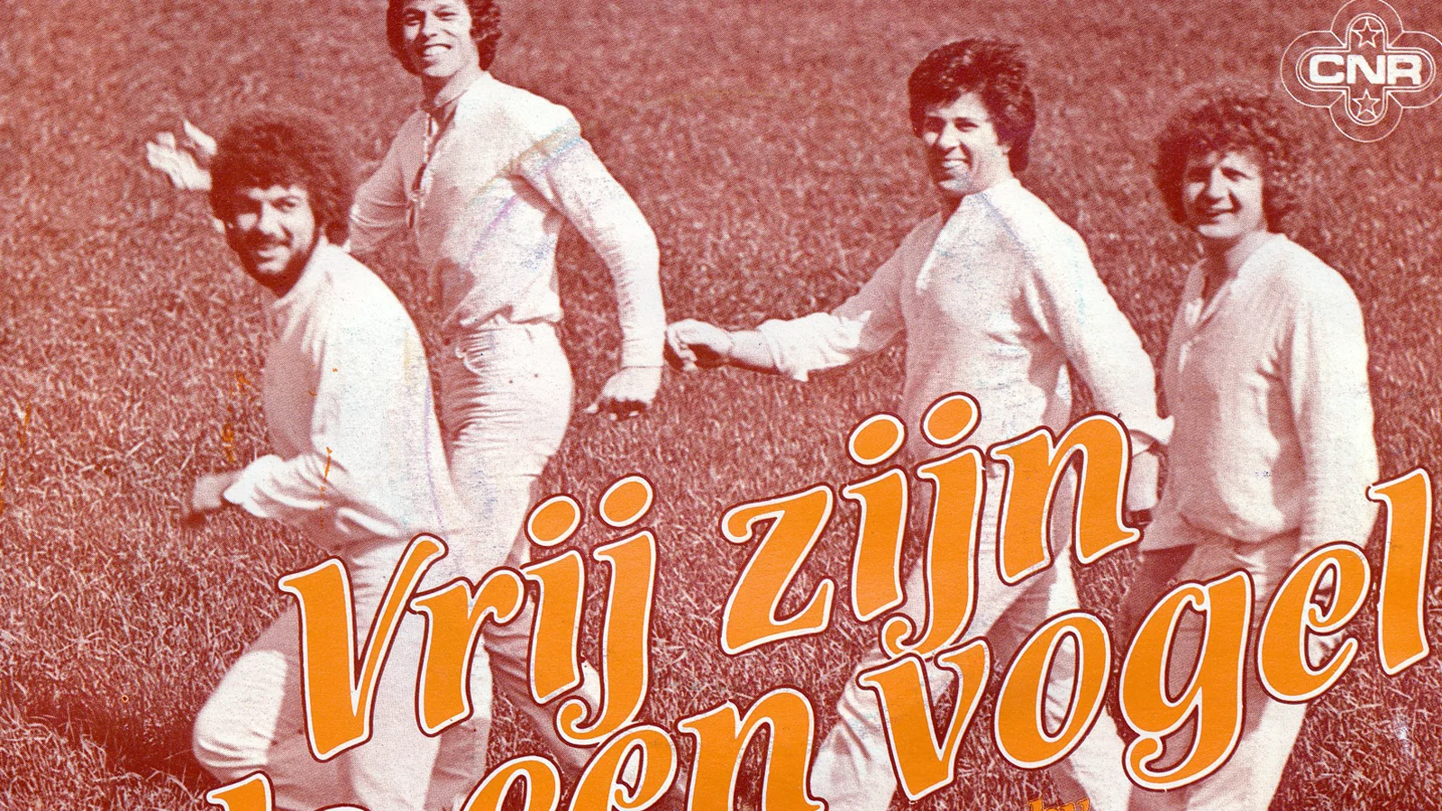 Vrij Zijn Als Een Vogel background