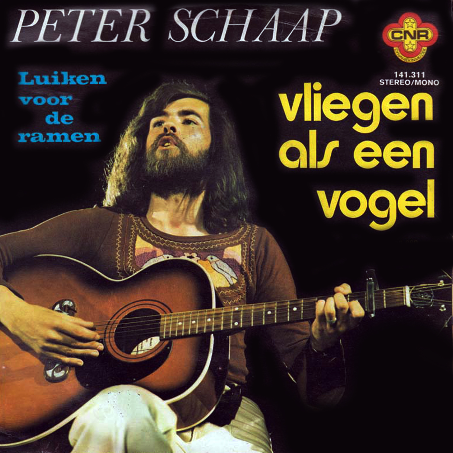 Vliegen Als Een Vogel