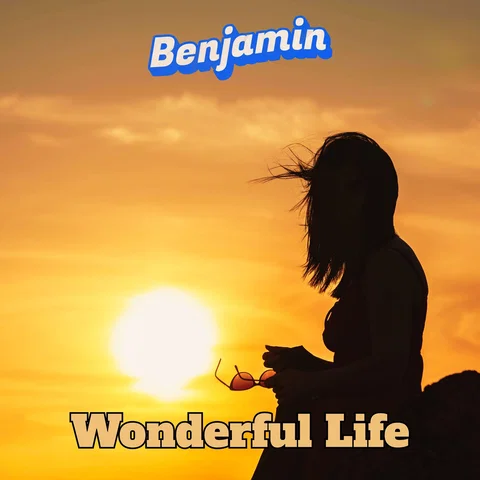 Wonderful Life