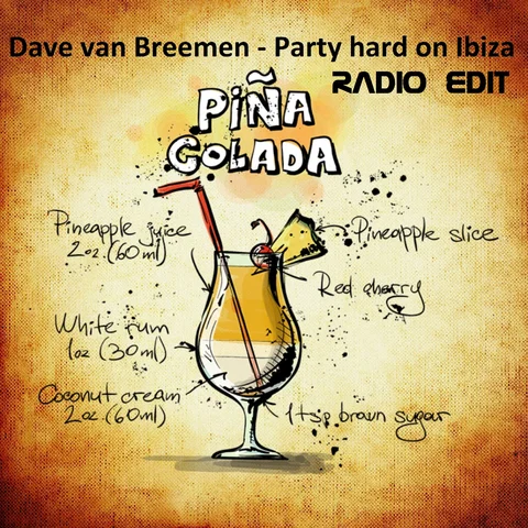 Party Hard - Radio edit