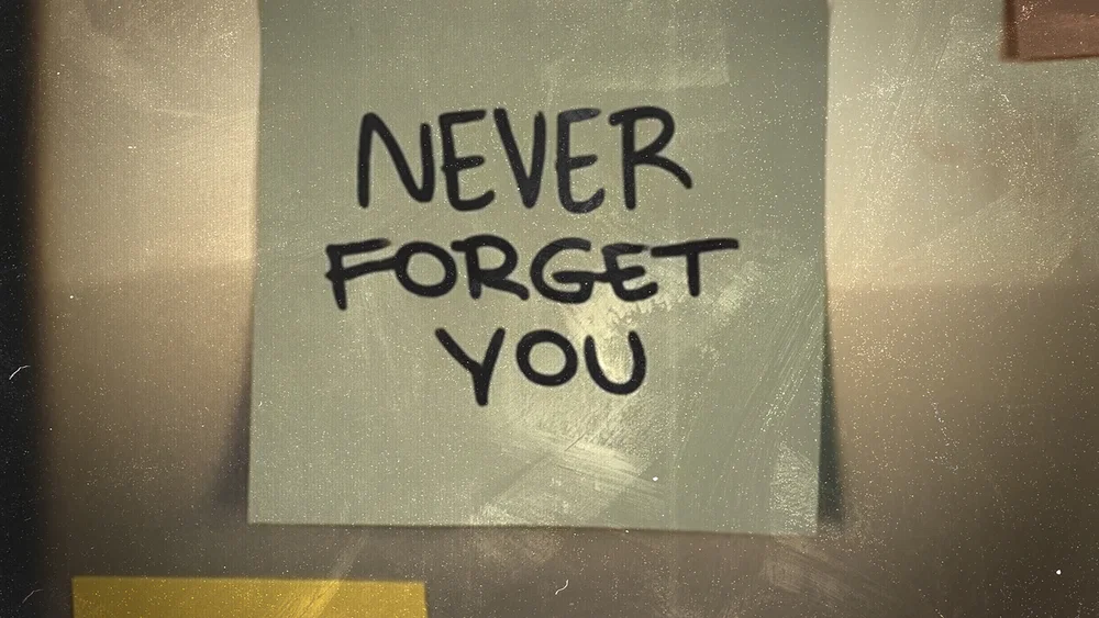 Never Forget You background