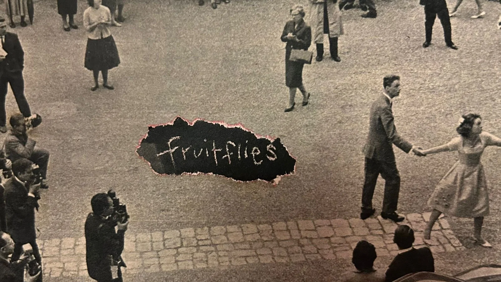 Fruitflies background