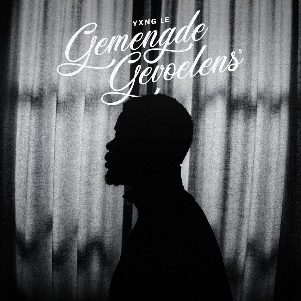 Gemengde Gevoelens