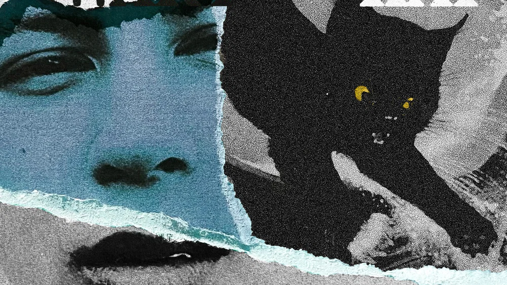 Zwarte Kat background