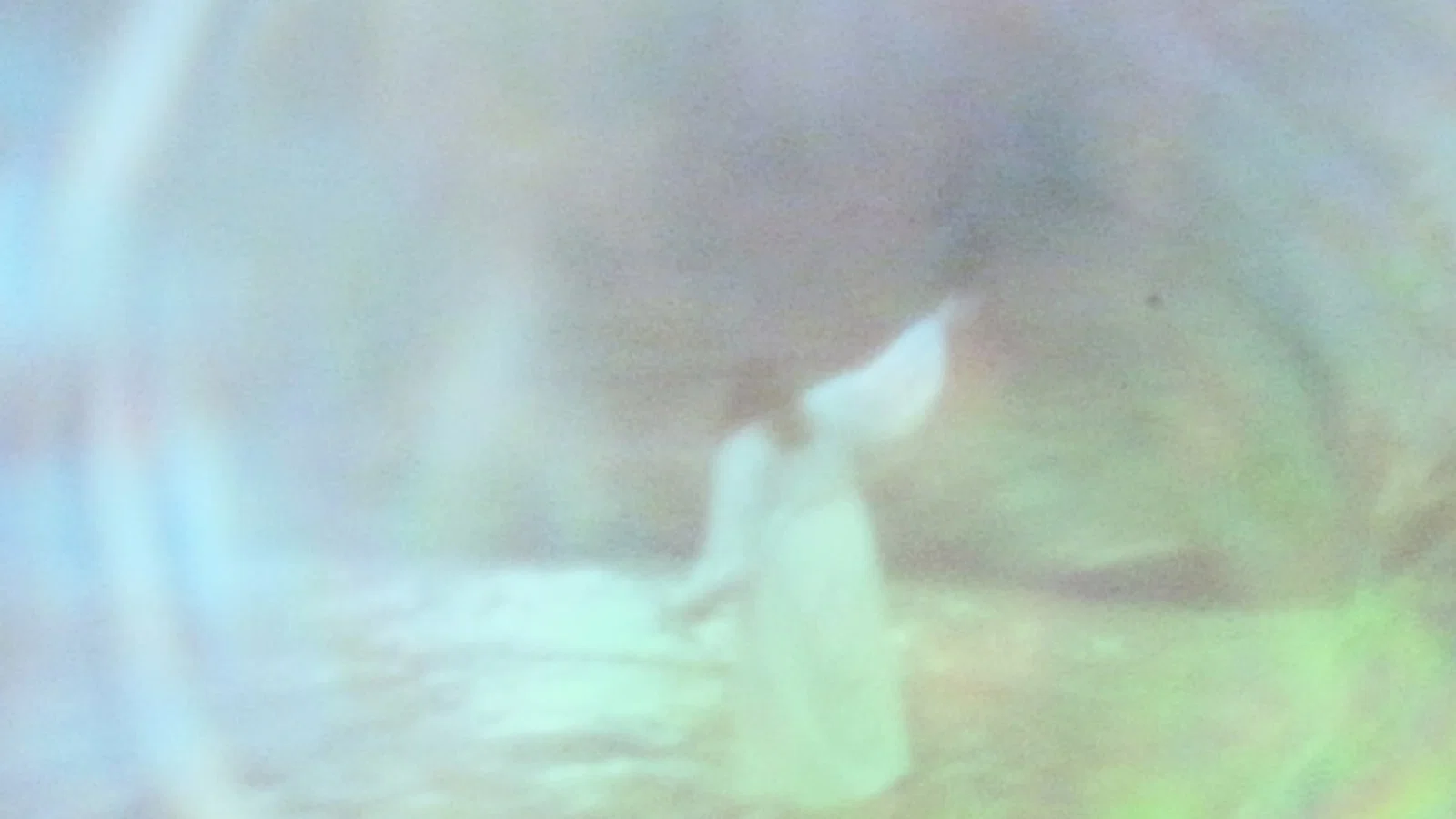 J'ai rêvé background