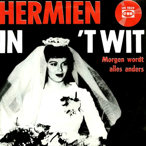 In 'T Wit