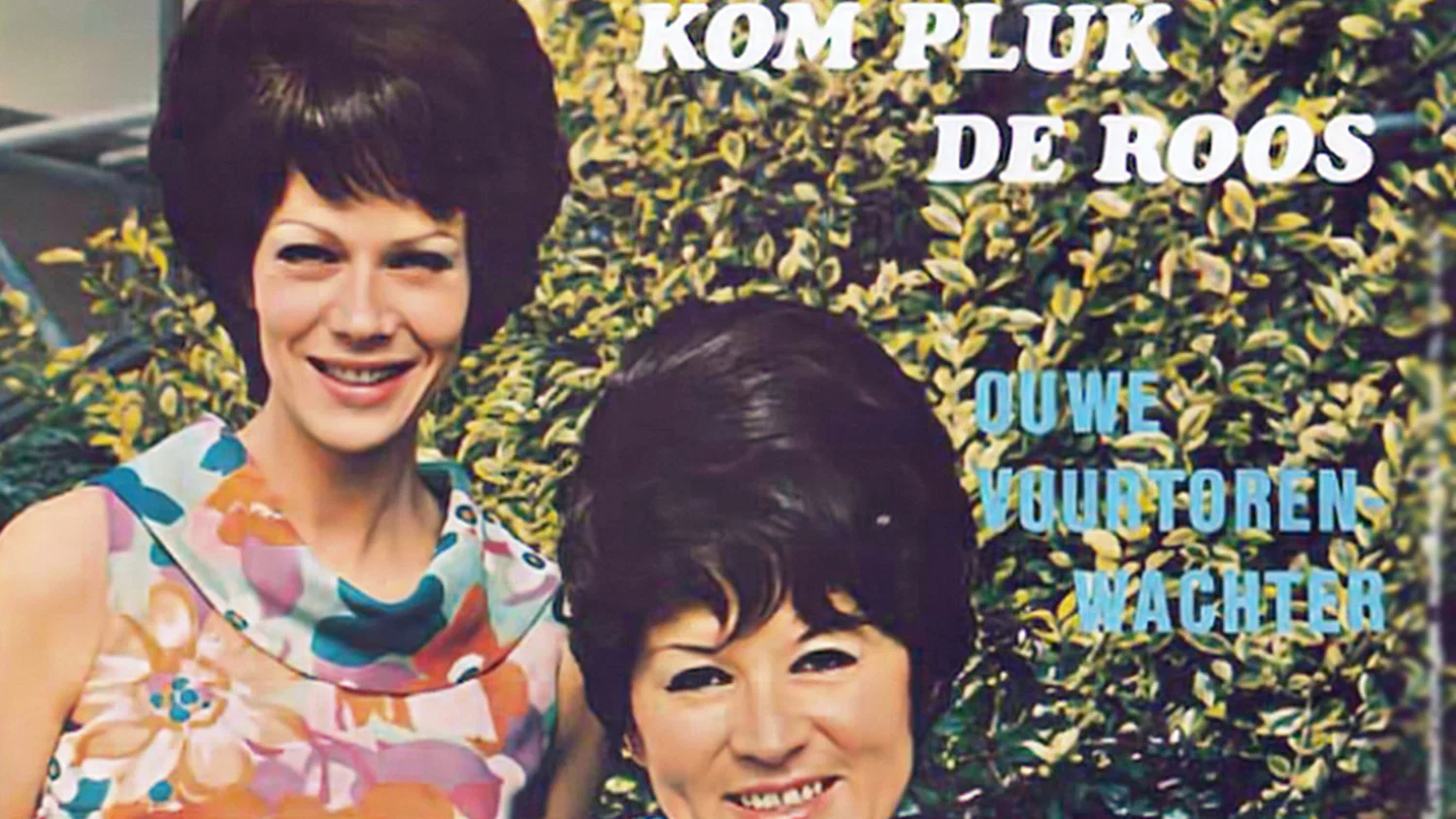 Kom Pluk De Roos background