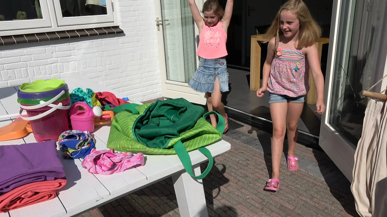 Minidisco - In De Zomer background