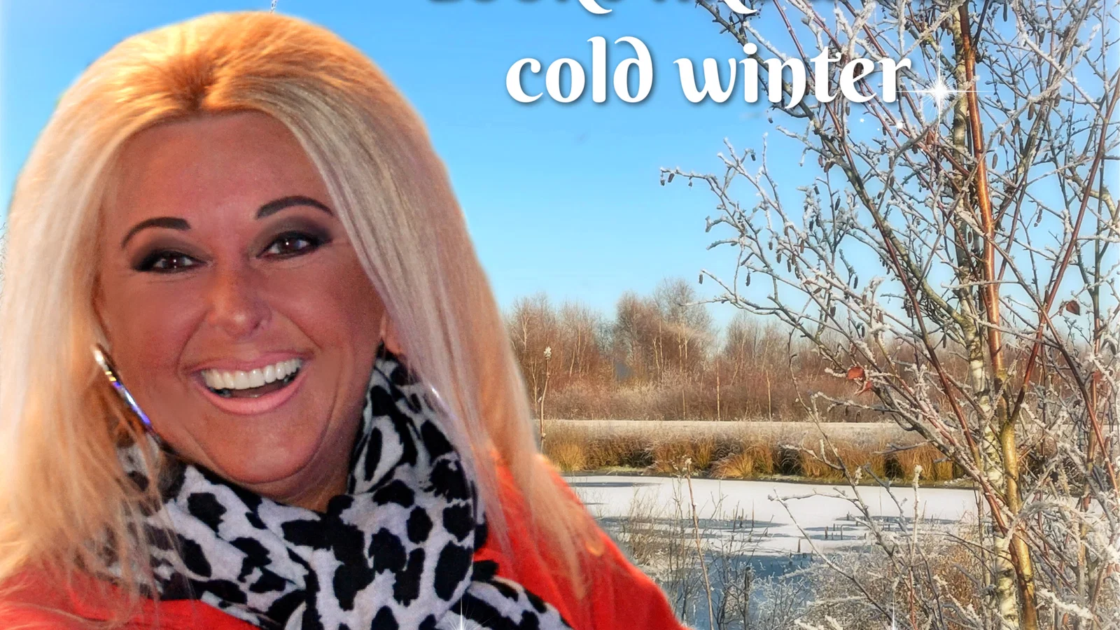 Looks like a cold cold winter background