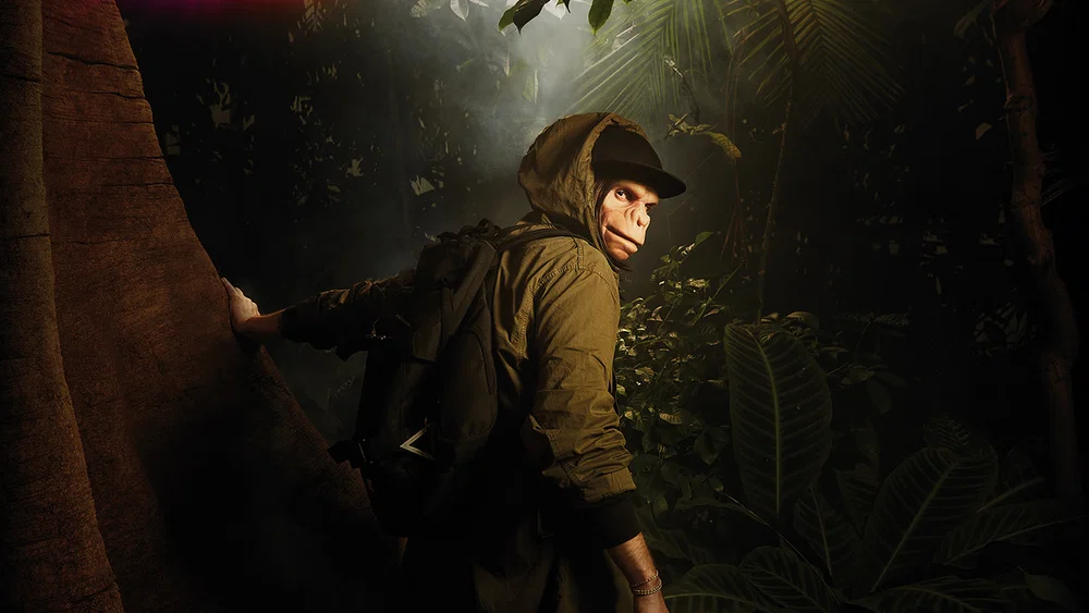 Walking To The Jungle background