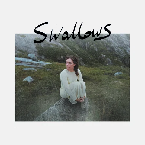 Swallows