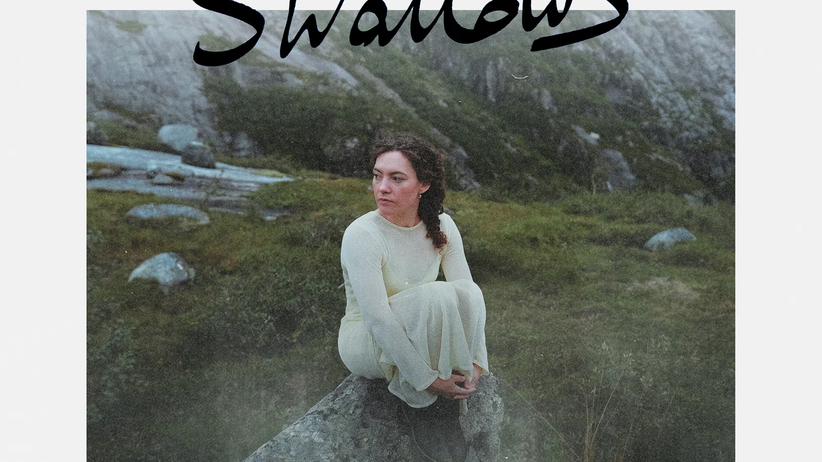 Swallows background