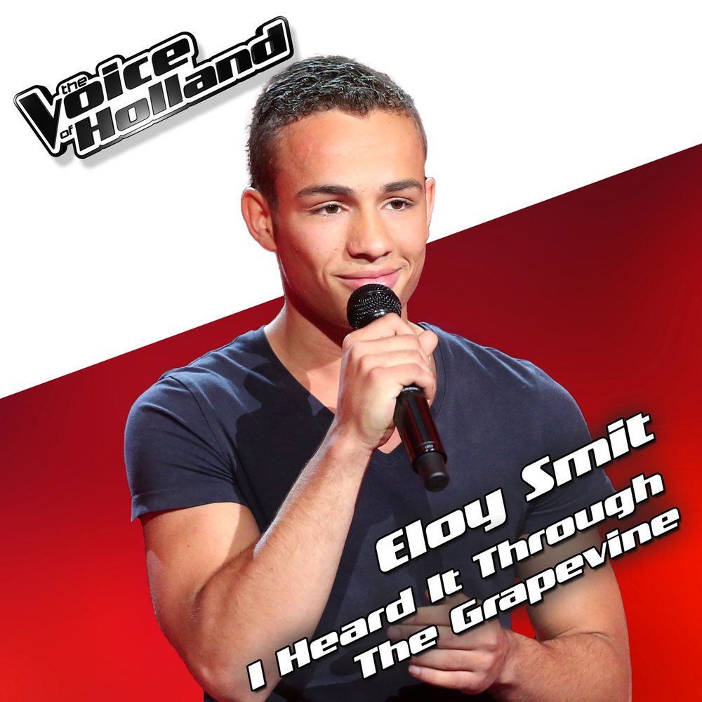 I Heard It Through The Grapevine - From The Voice Of Holland 5
