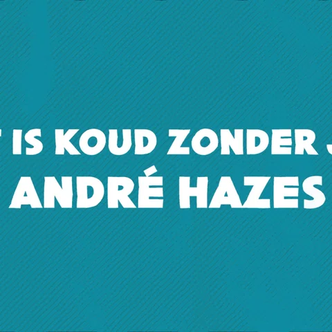 Het Is Koud Zonder Jou - Lyric Video