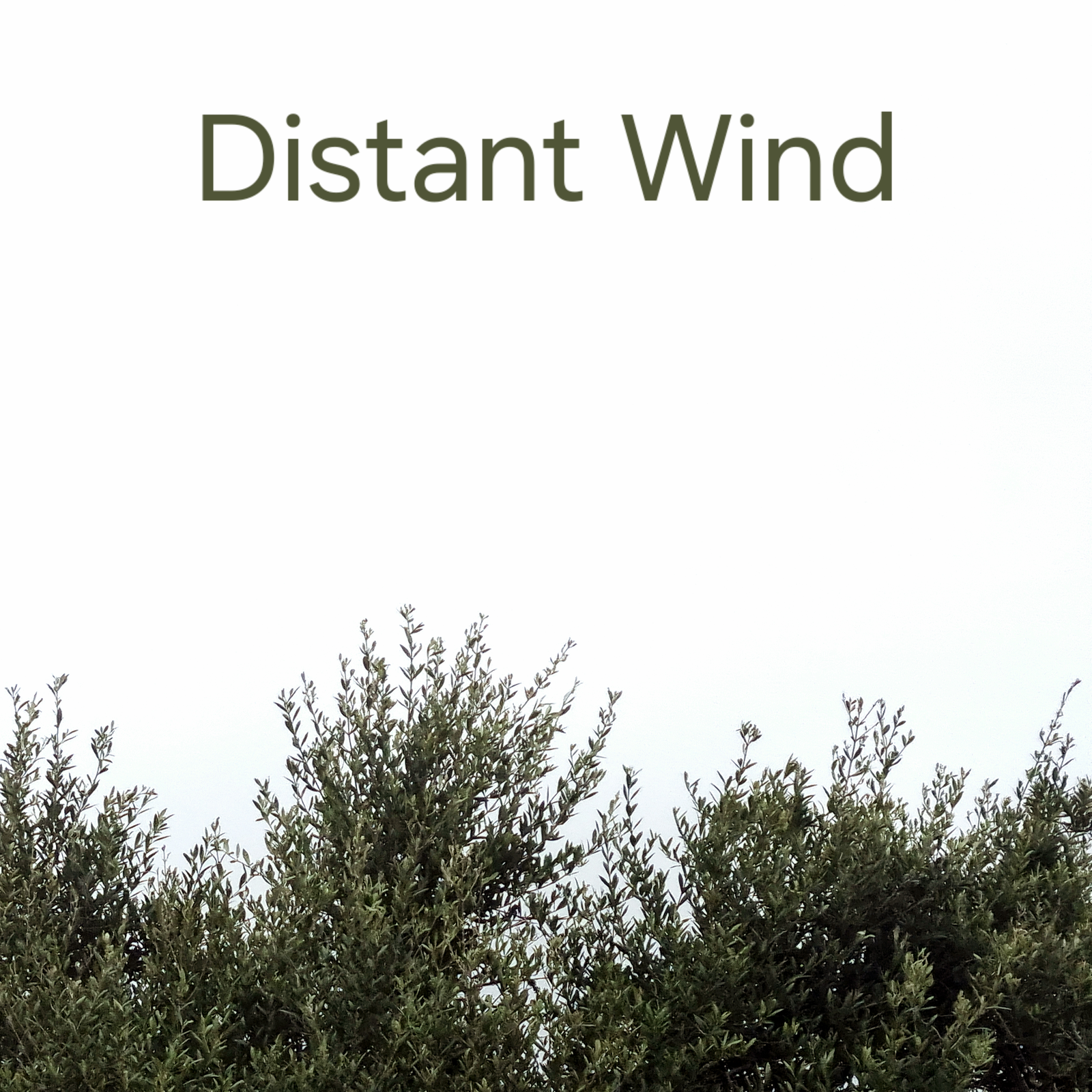 Distant Wind