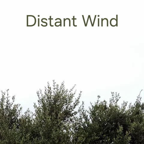 Distant Wind