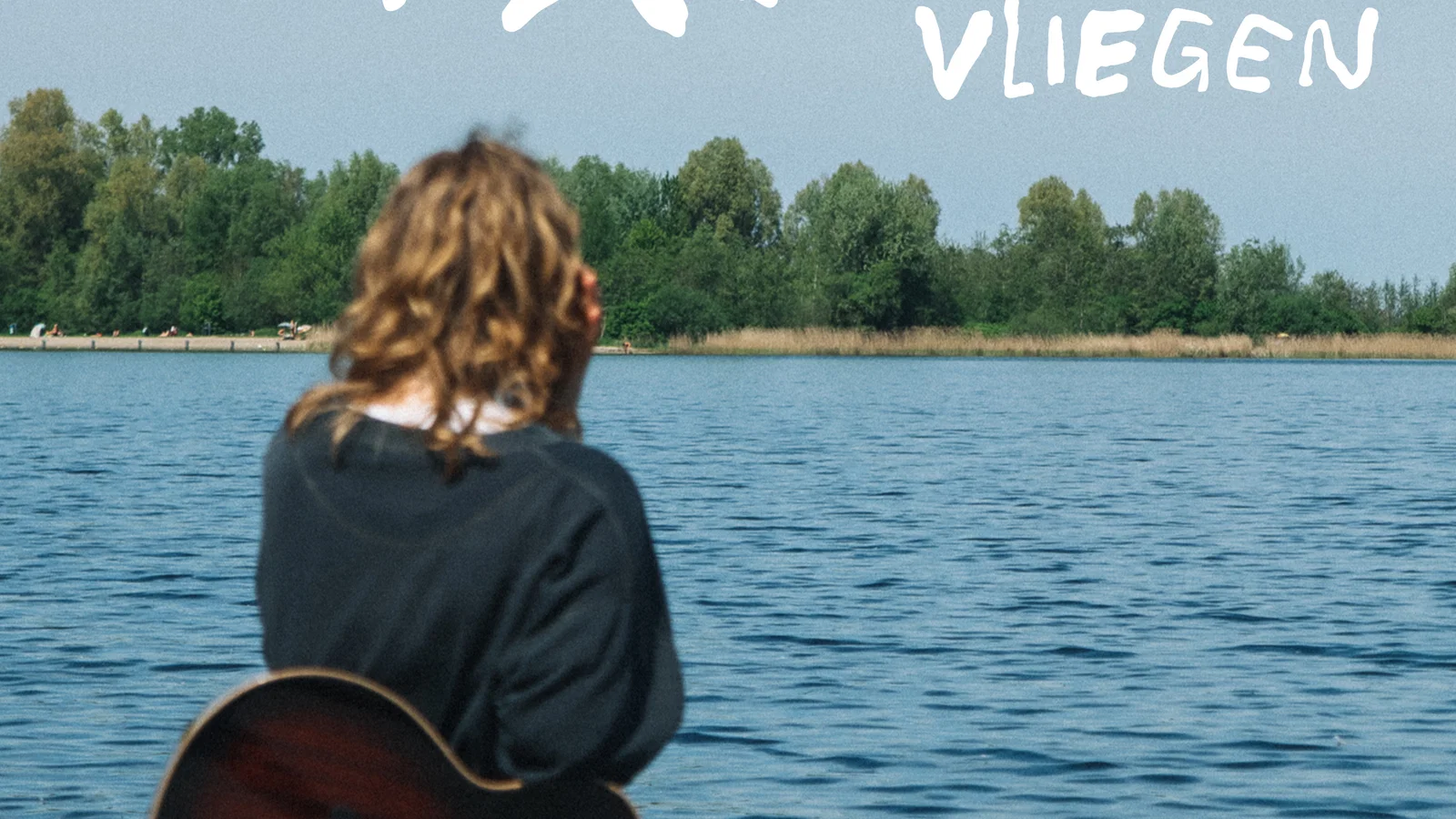 Vliegen background