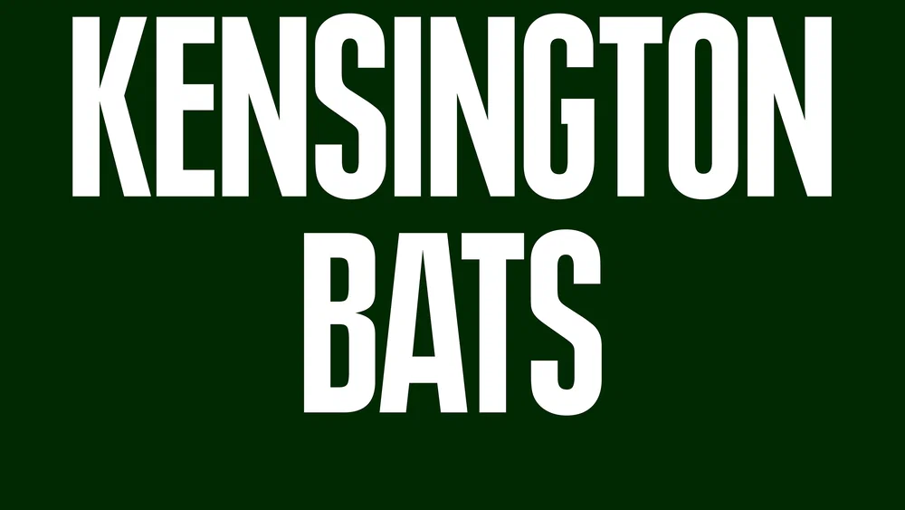 Bats background