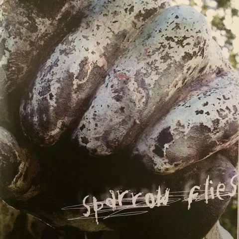 Sparrow flies