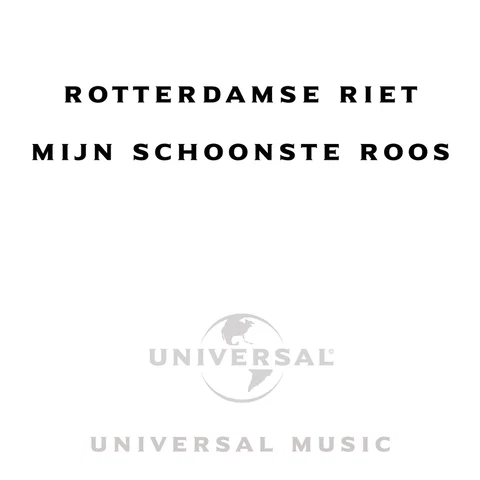 Mijn Schoonste Roos