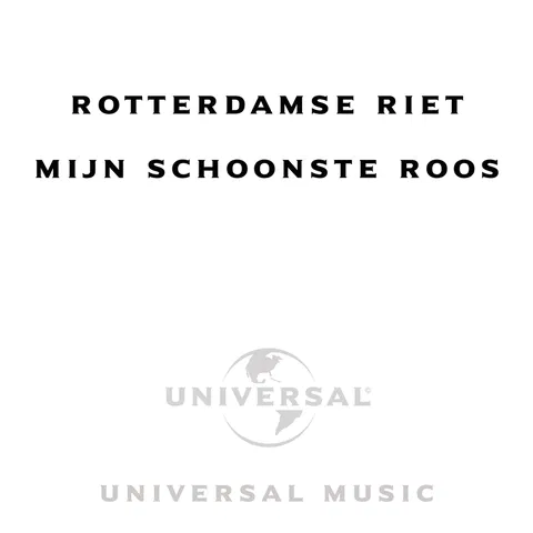 Mijn Schoonste Roos