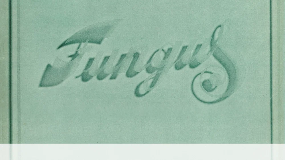 Fungus - Remastered / Expanded Edition background