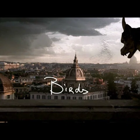 Birds