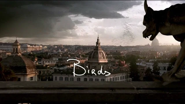 Birds background
