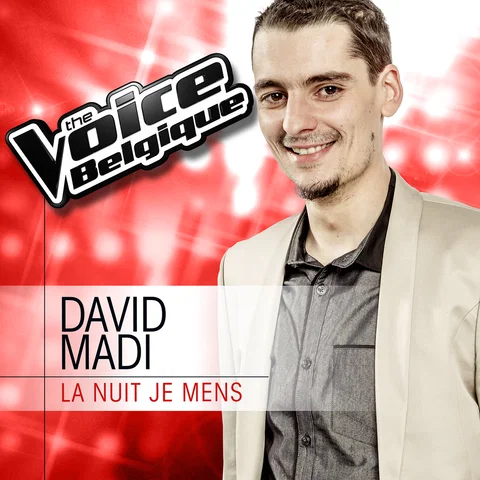 La Nuit Je Mens (From The Voice Belgique 2013)