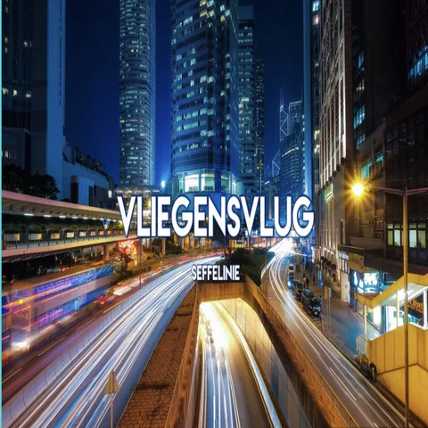 vliegens vlug