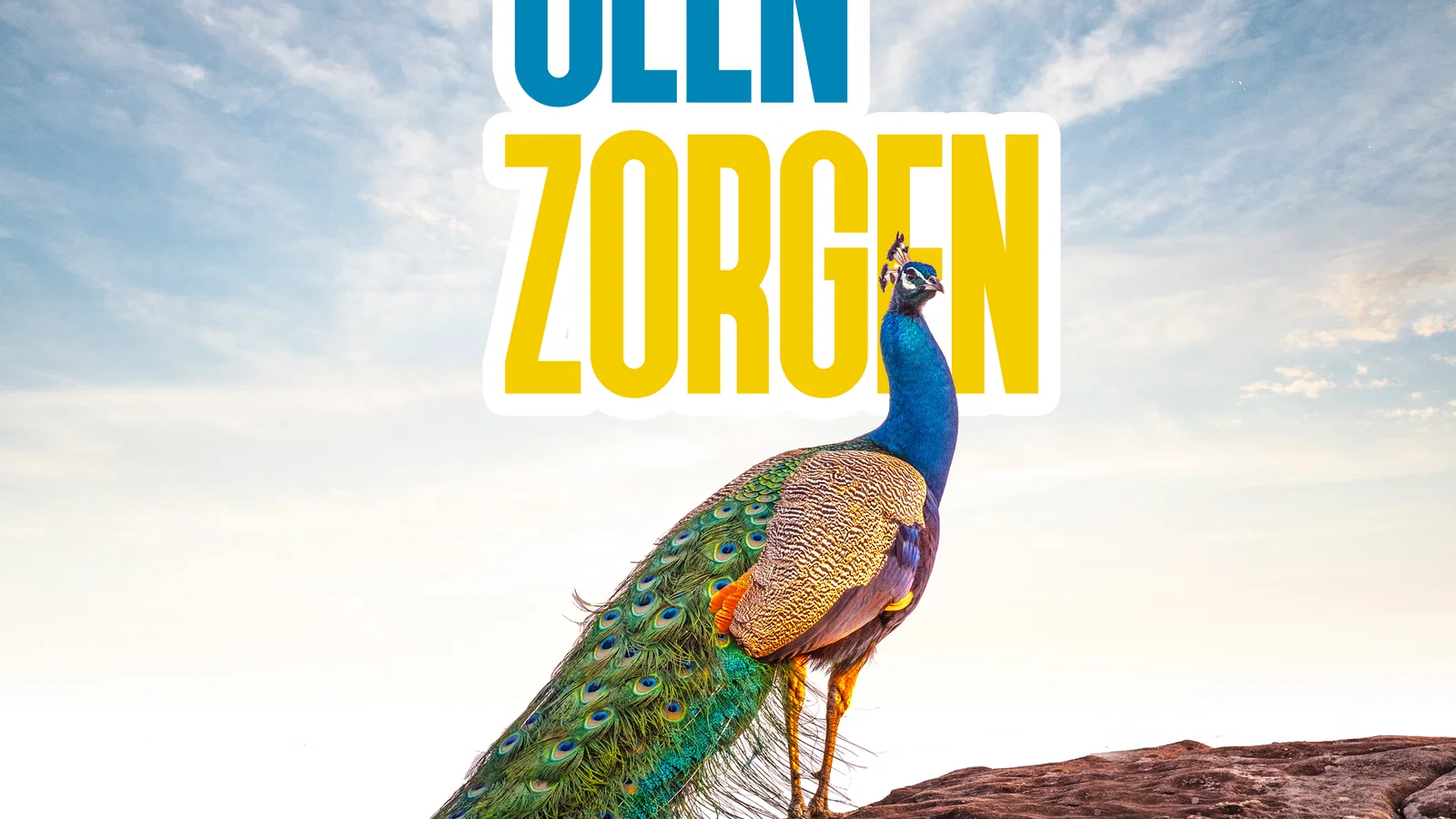 Geen Zorgen background