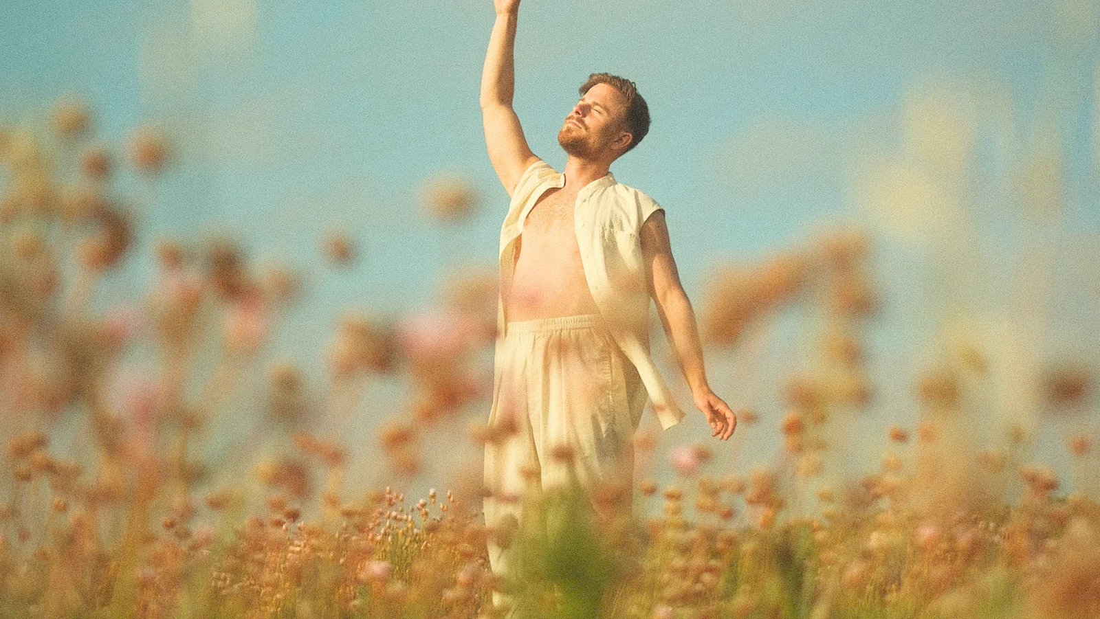 Blossoming background
