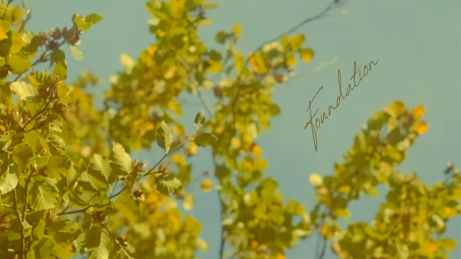 Foundation background