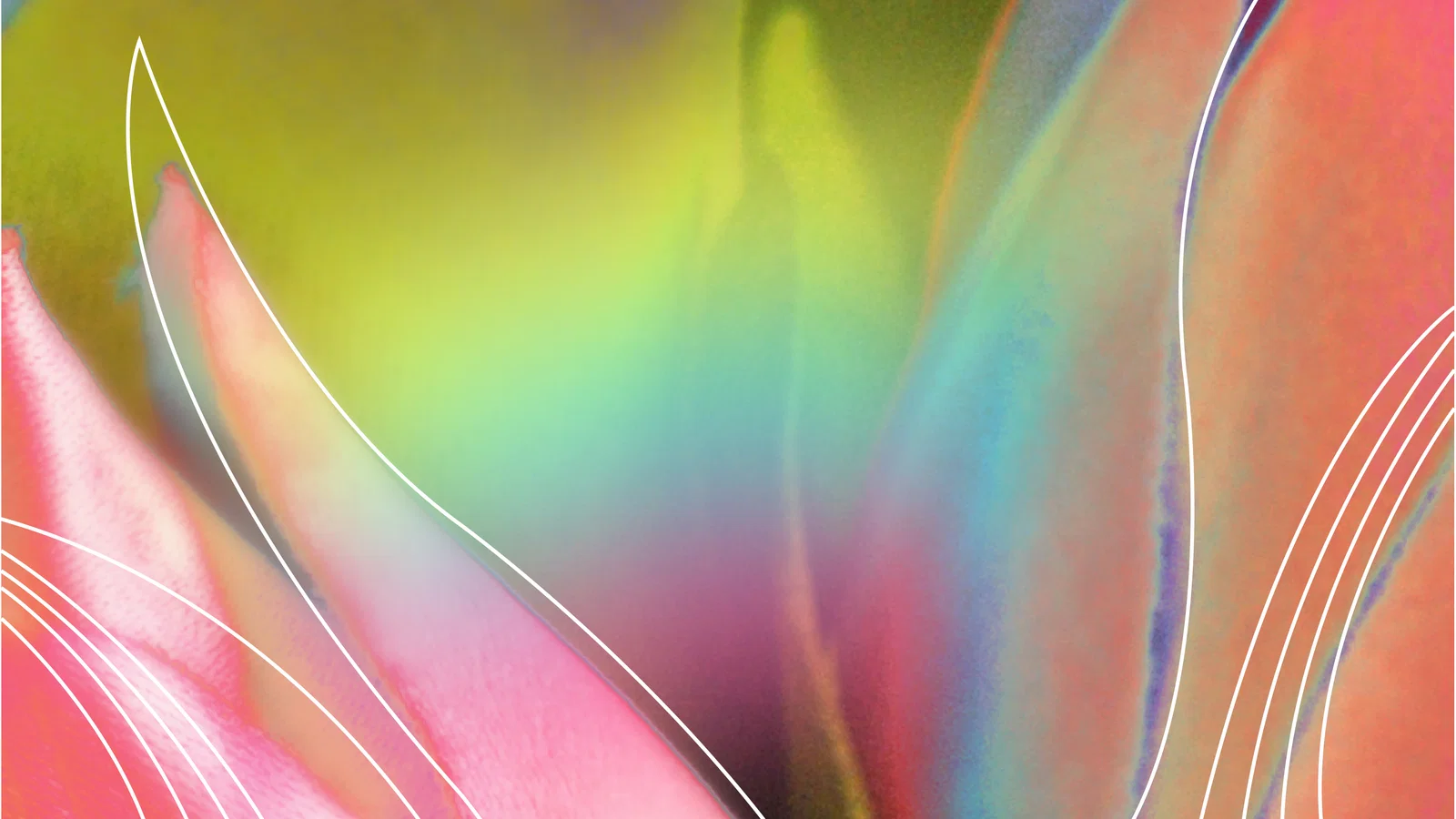 Over The Rainbow background