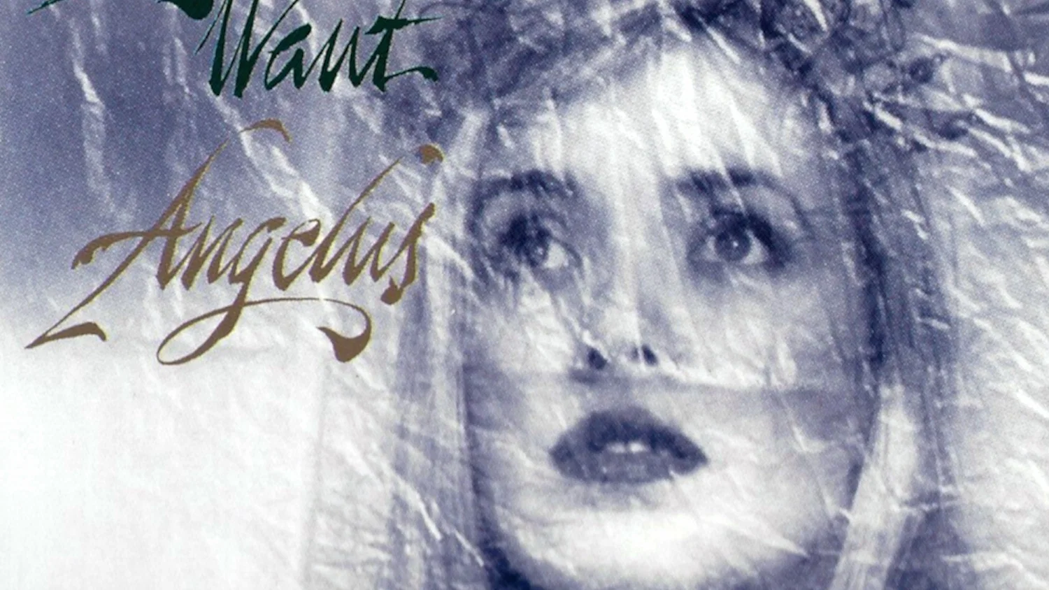 Angelus background