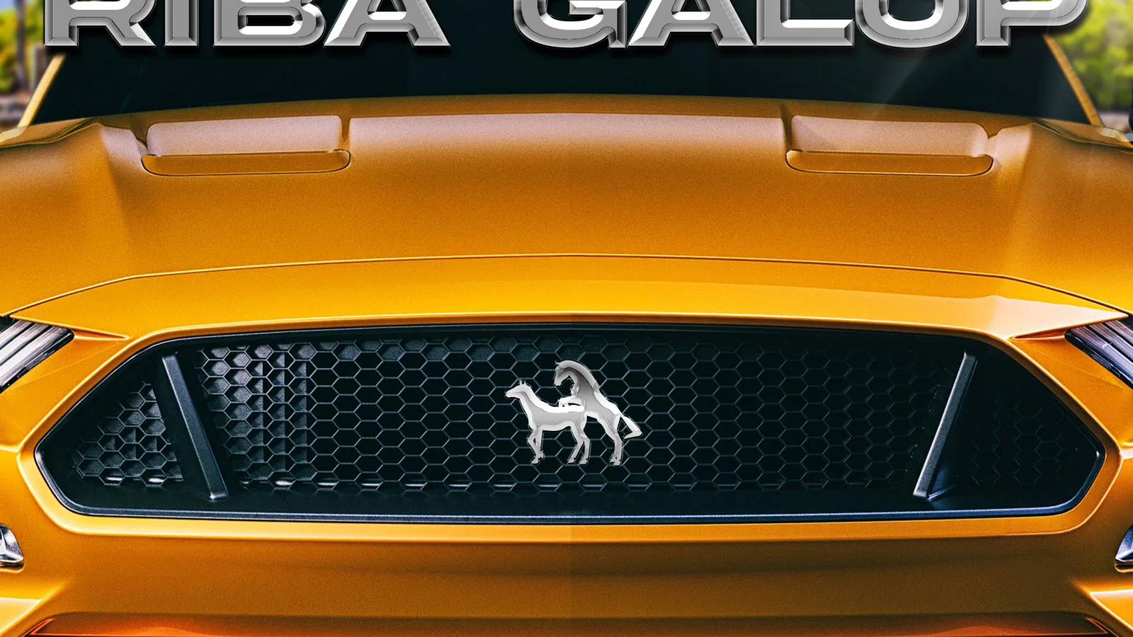 Riba Galop background