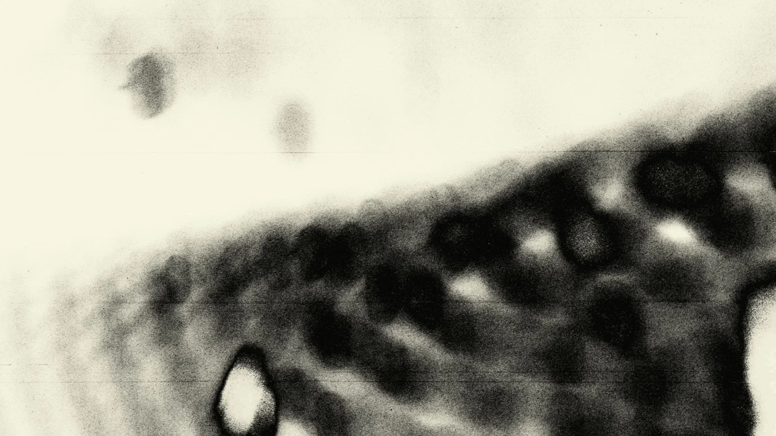 Said Is Said background