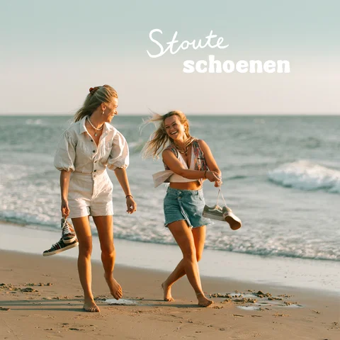 Stoute schoenen
