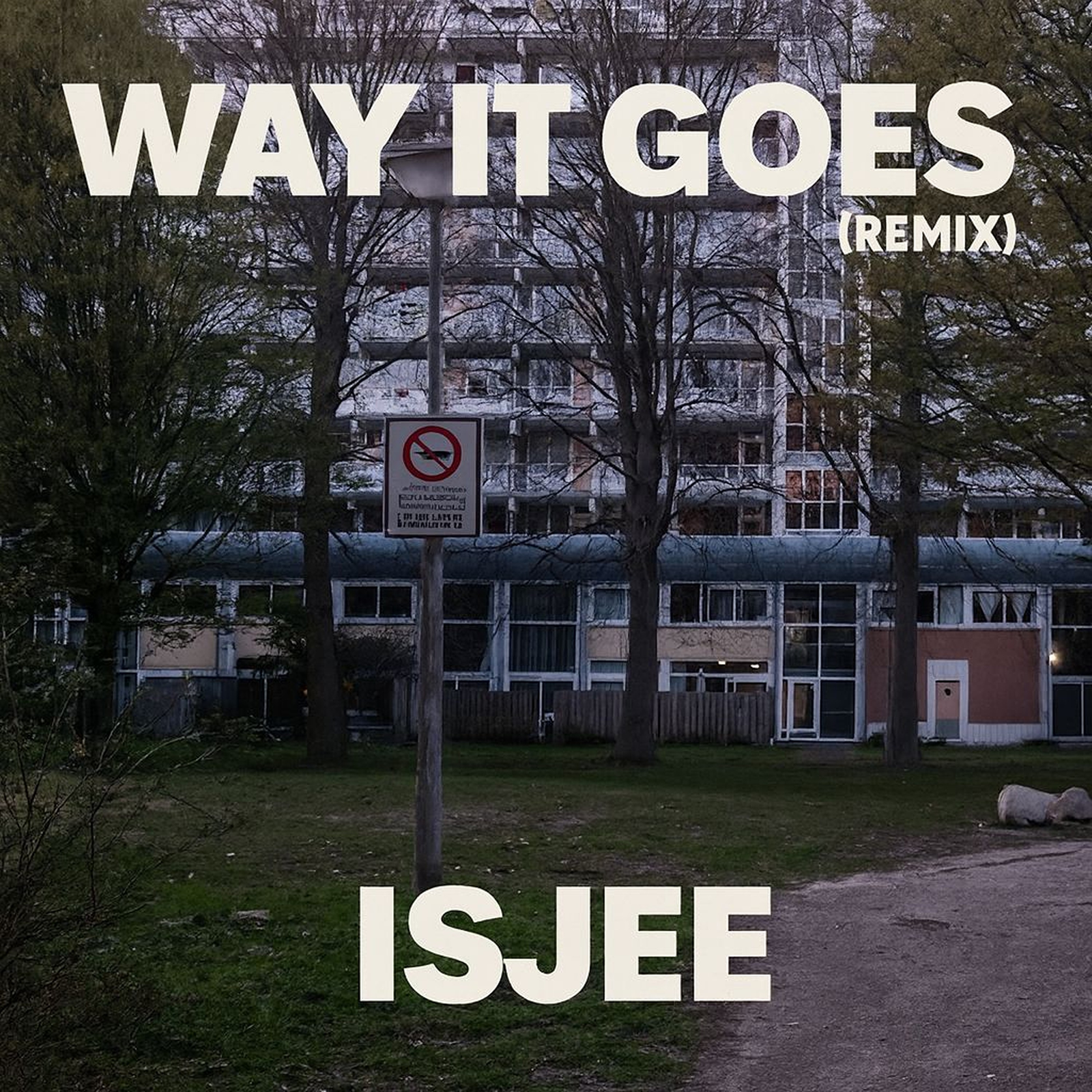 Way it goes - Remix